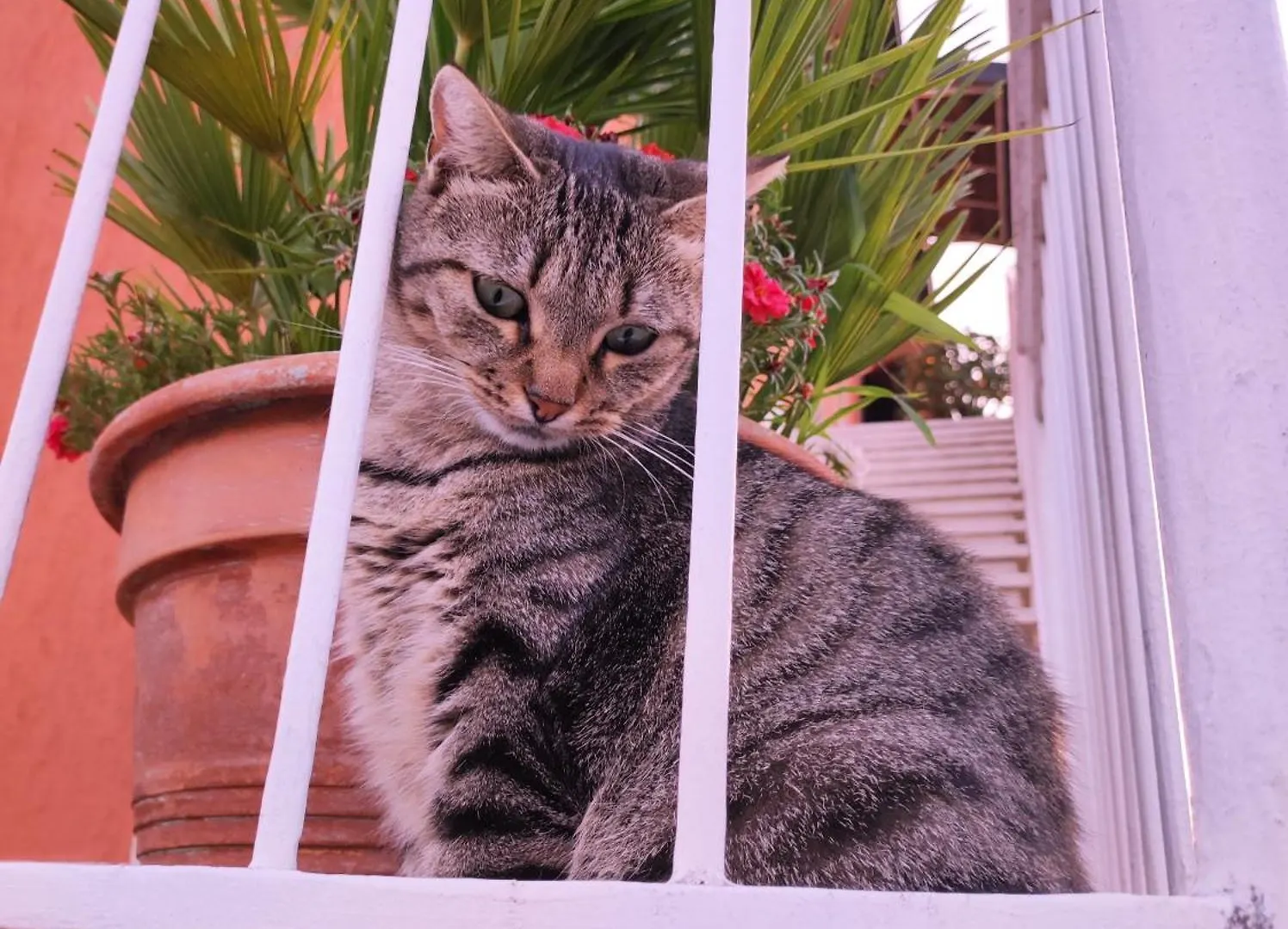 Frühstückspension Casapatrizia B&B Sirmione